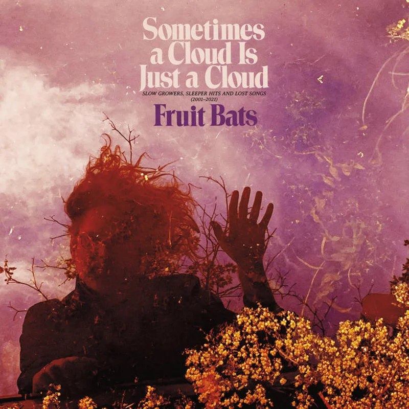 Fruit Bats - Sometimes a Cloud Is Just a Cloud: Slow Growers, Sleeper Hits and Lost Songs (20012021) 2LP
