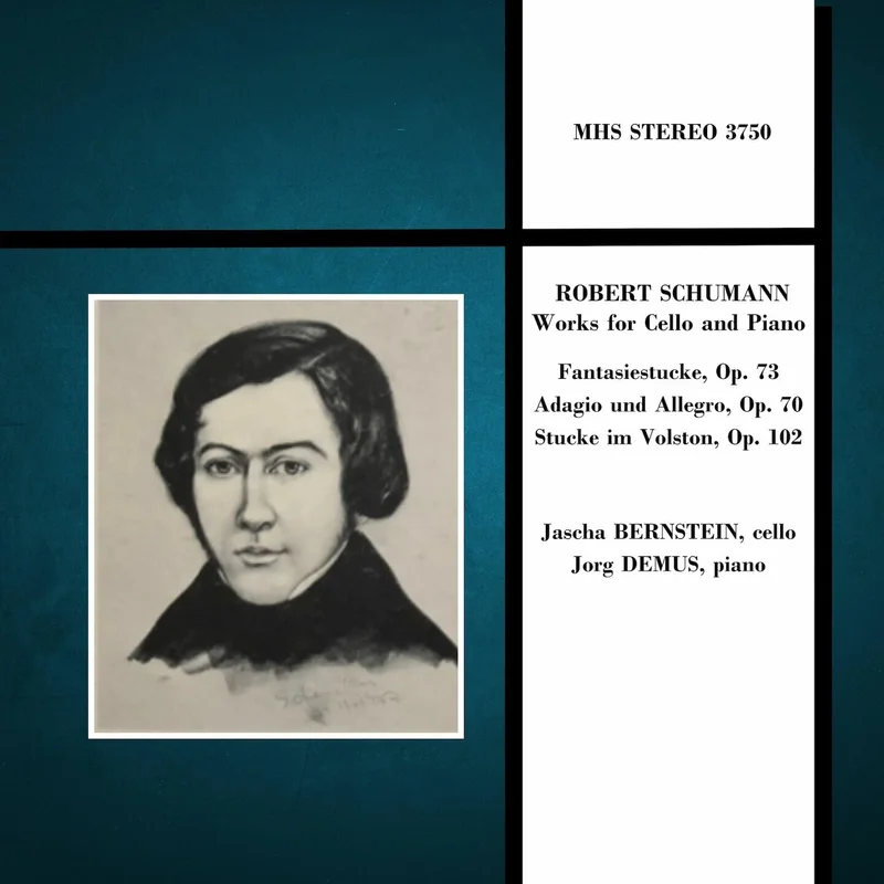 Funf Stucke Im Volkston, Op. 102: V. Stark und markiert