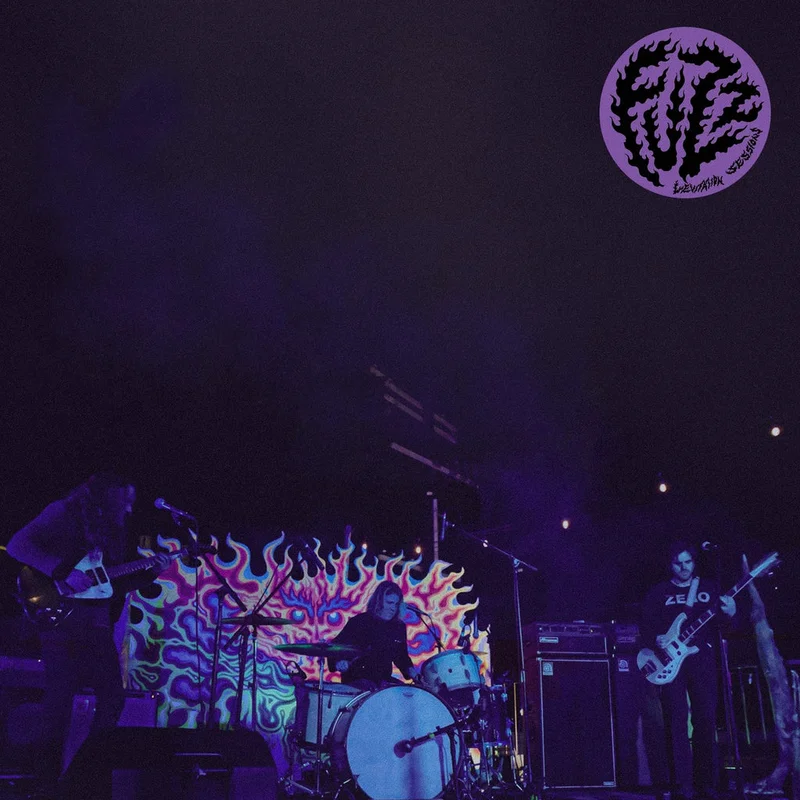 Fuzz - Levitation Sessions LP