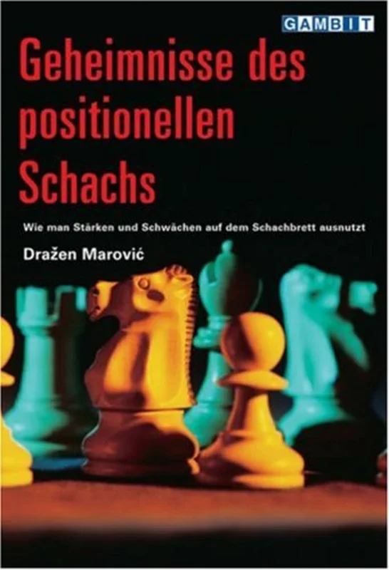 Geheimnisse Des Positionellen Schachs