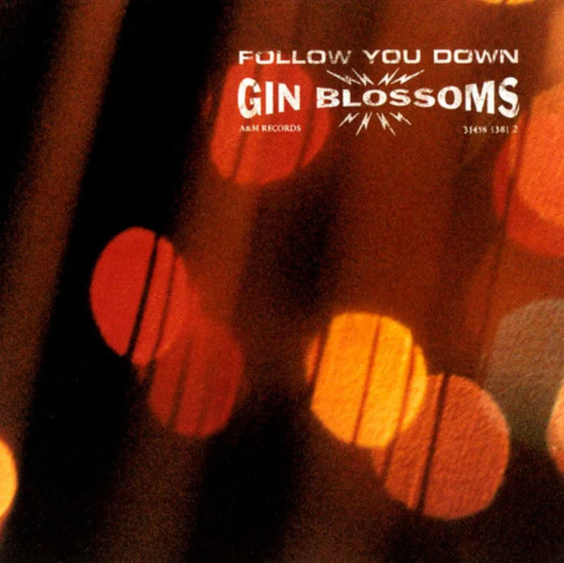 Gin Blossoms - Follow You Down (CD)