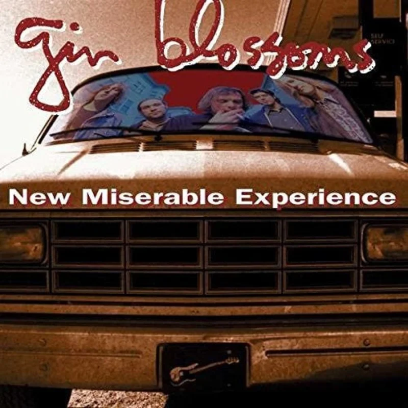Gin Blossoms-New Miserable Experience (LP)