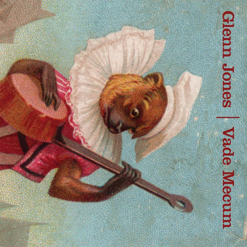 Glenn Jones - Vade Mecum LP