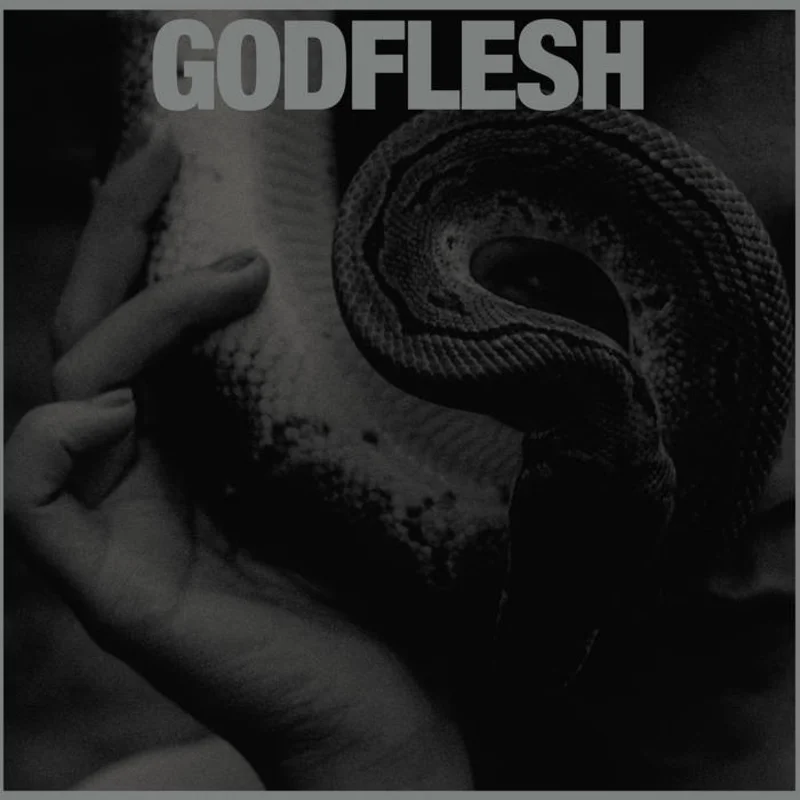 Godflesh - Purge LP