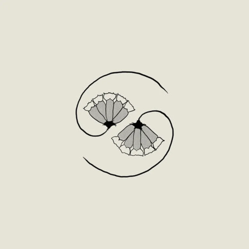 Godspeed You Black Emperor-G_d's Pee At State's End (10"+LP)