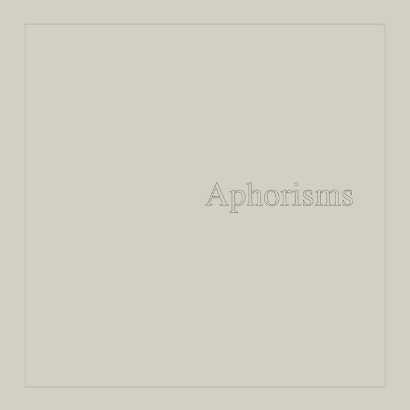 Graham Lambkin - Aphorisms 2LP