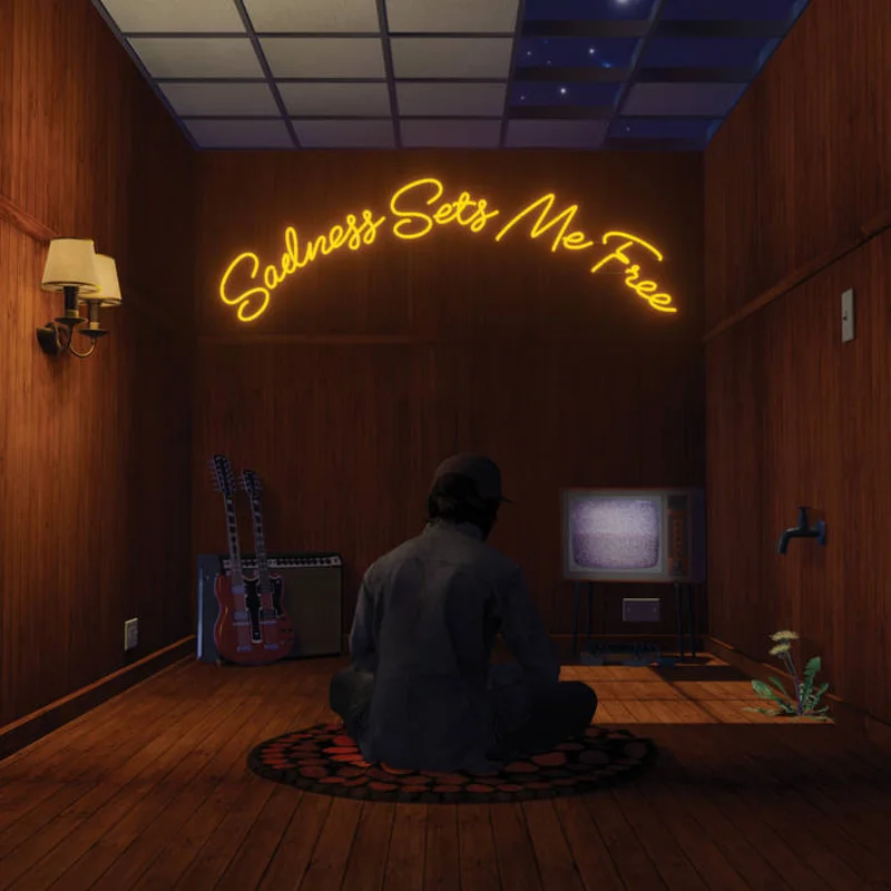 Gruff Rhys - Sadness Sets Me Free LP