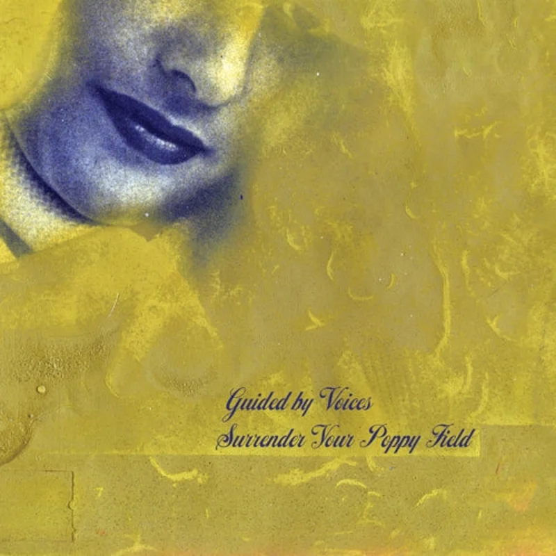 Guided By Voices - Surrender Your Poppy LP