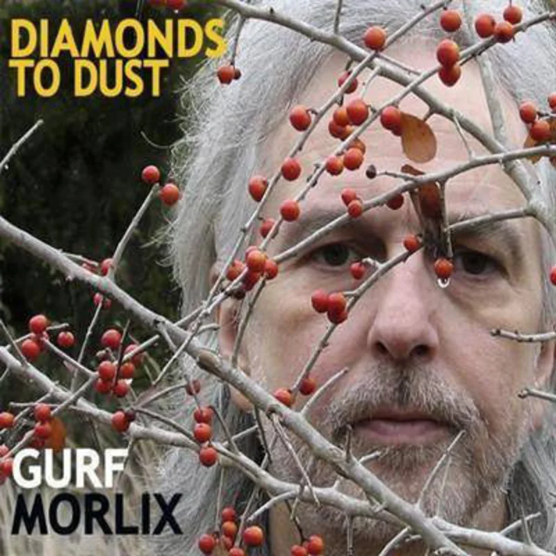 Gurf Morlix - Diamonds To Dust (CD)
