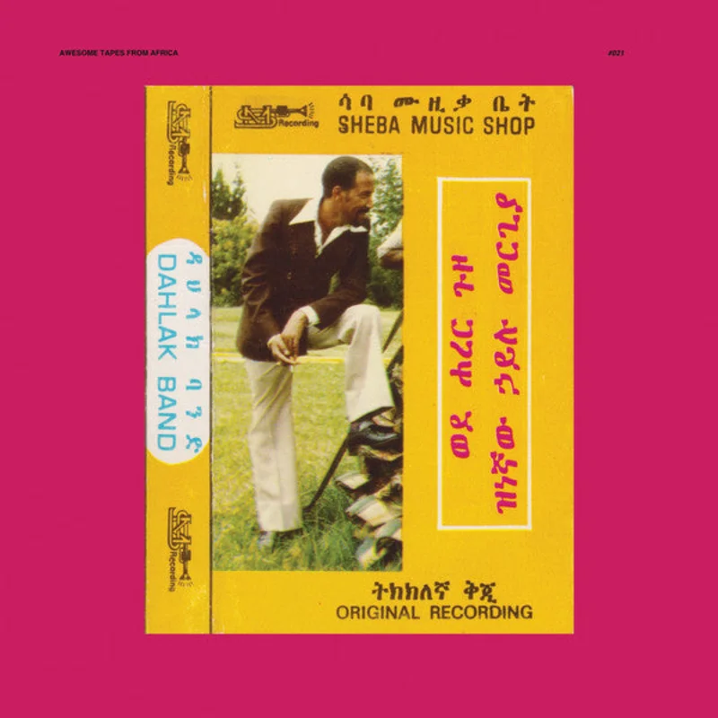 Hailu Mergia & Dahlak Band - Wede Harer Guzo (Vinyl)