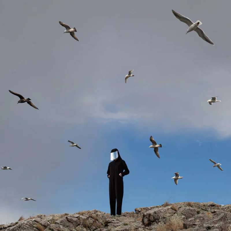 Hamerkop - Remote LP