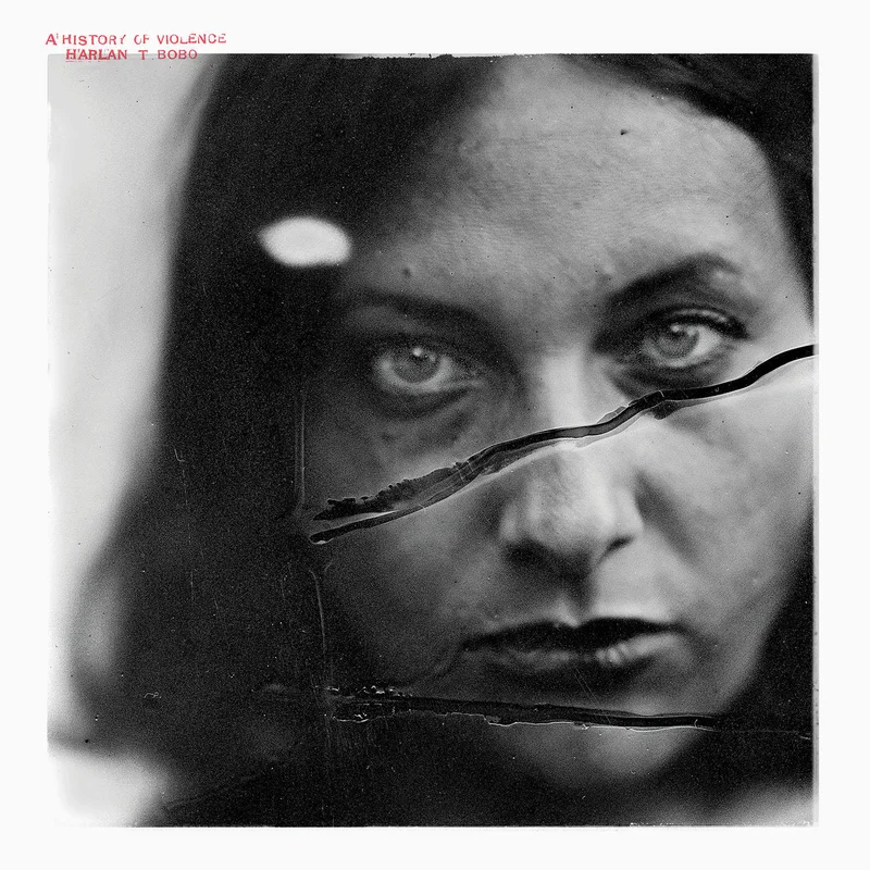 Harlan T. Bobo - A History of Violence LP