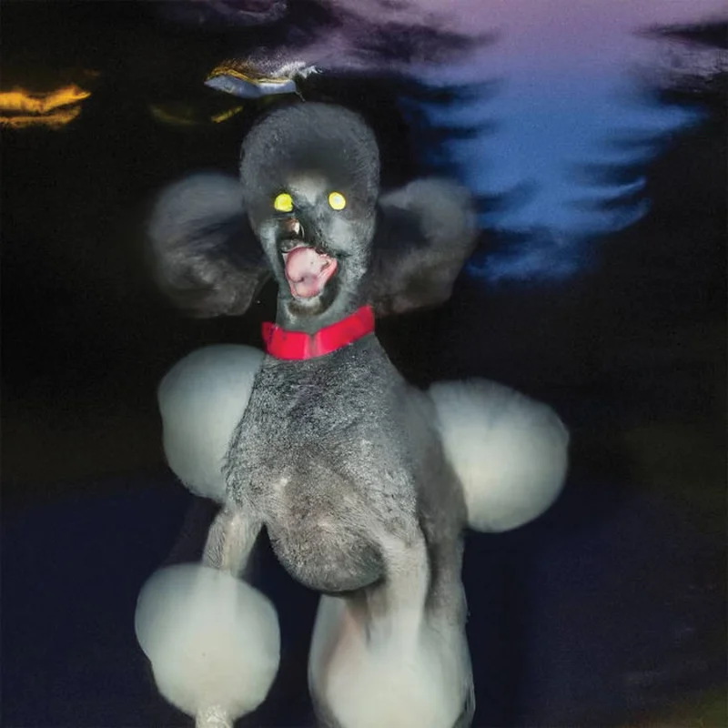 Hit Bargain - A Dog A Deer A Seal LP