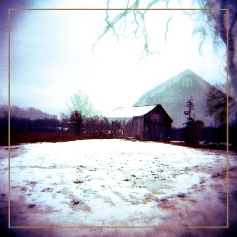 Horse Feathers - House with No Home LP + 7