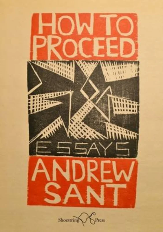 How to Proceed : Essays