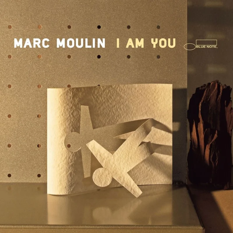 I Am You (1LP Coloured)