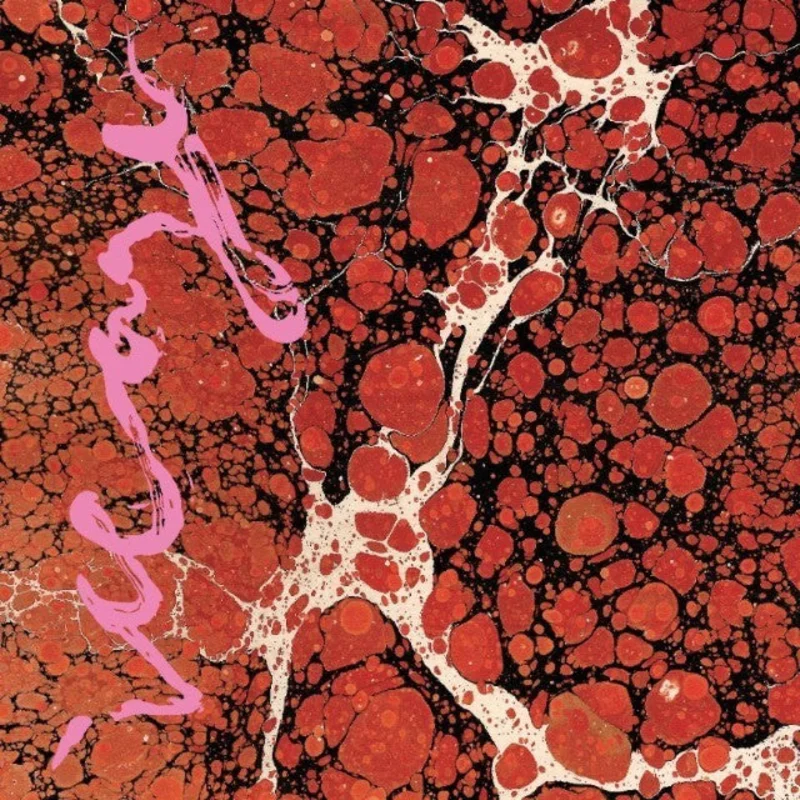 Iceage - Beyondless LP