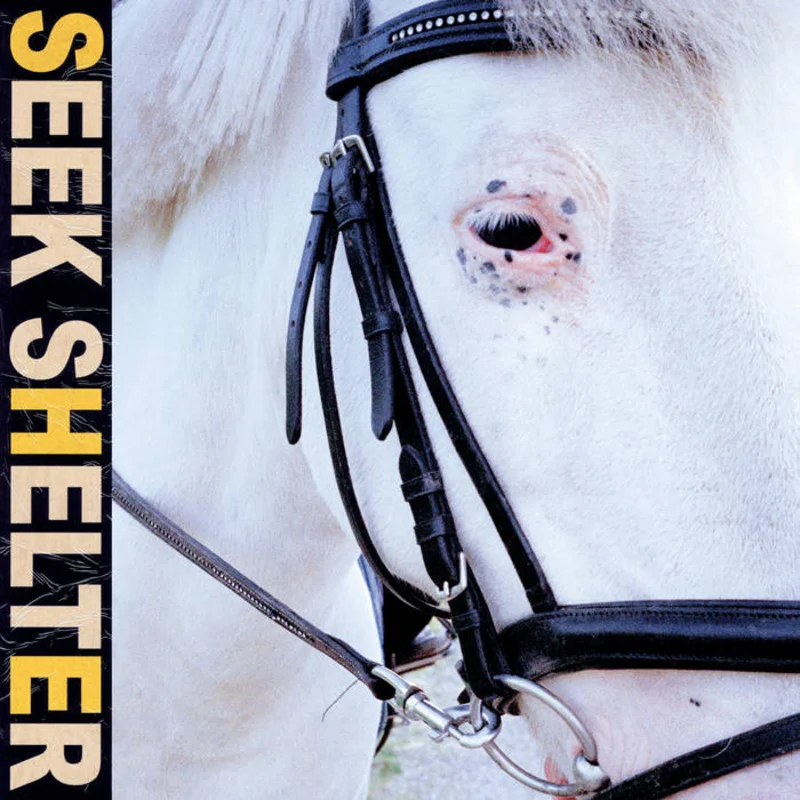 Iceage - Seek Shelter LP