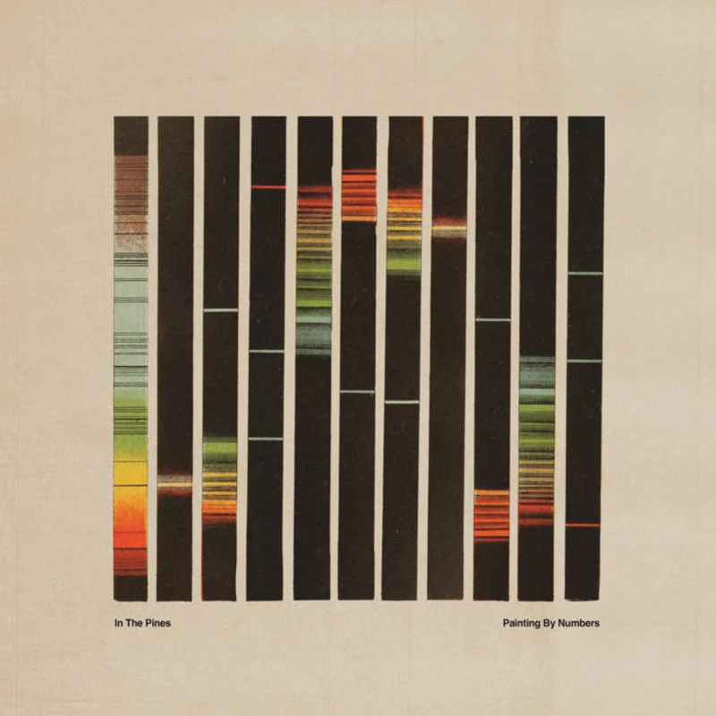 In the Pines - Painting By Numbers LP