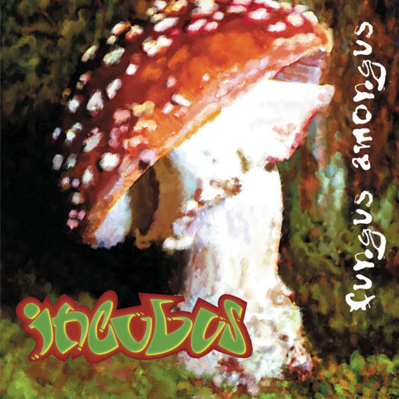 Incubus - Fungus Amongus LP