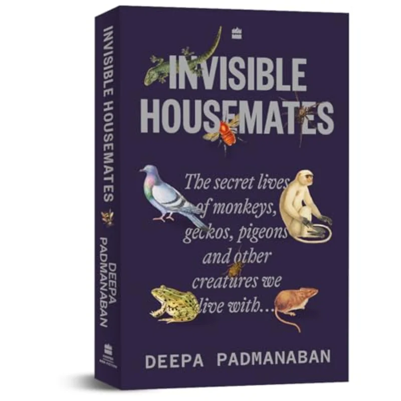 Invisible Housemates