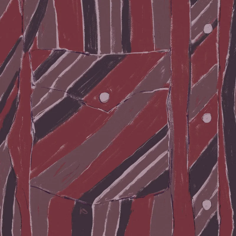 Jake Xerxes Fussell & James Elkington - Rebuilding LP