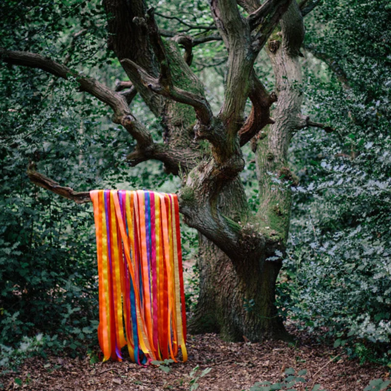 James Holden & the Animal Spirits - The Animal Spirits 2LP