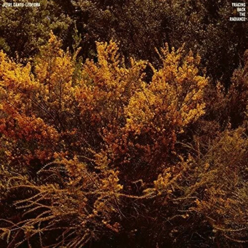 Jefre Cantu-Ledesma - Tracing Back the Radiance LP