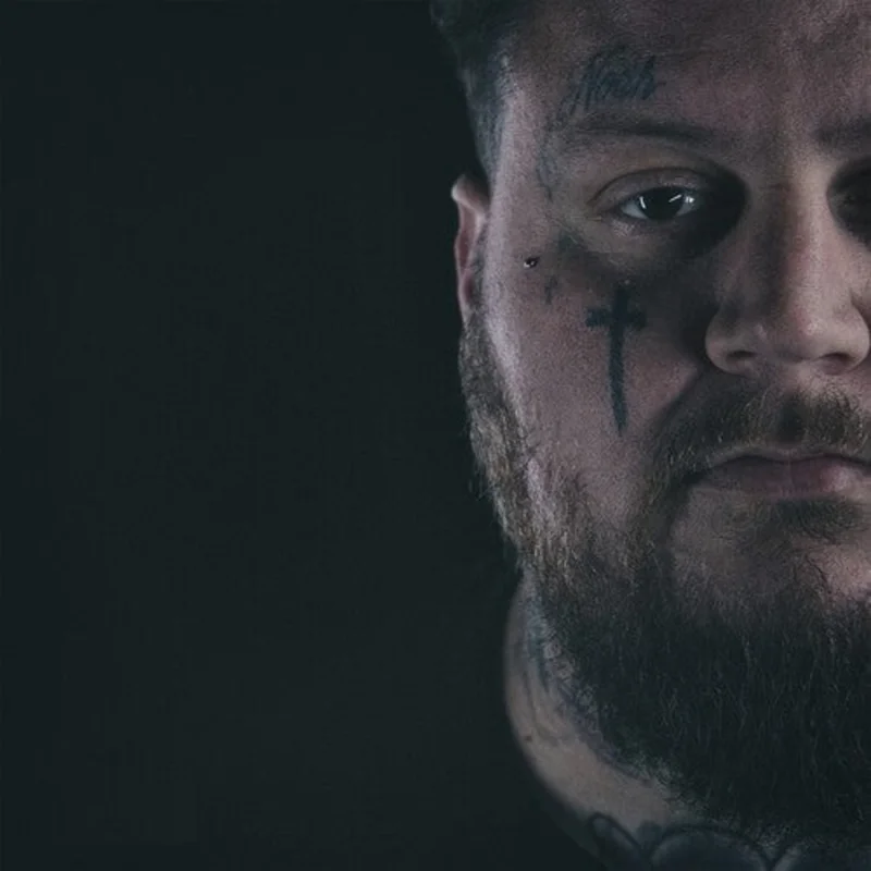 Jelly Roll-A Beautiful Disaster (LP)