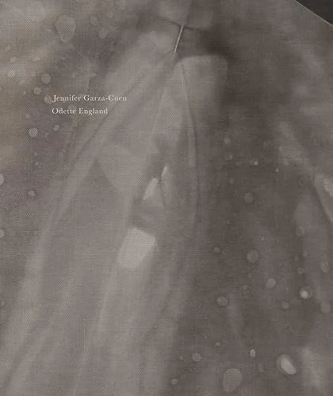 Jennifer Garza-Cuen & Odette England: Past Paper // Present Marks : Responding to Rauschenberg