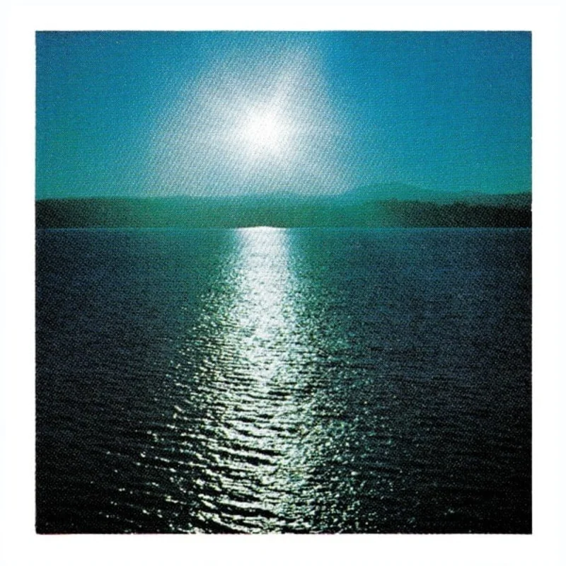 Joanna Brouk - The Space Between LP