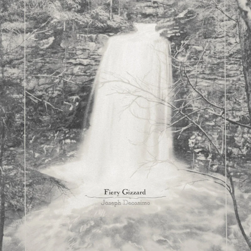 Joe Decosimo - Fiery Gizzard LP