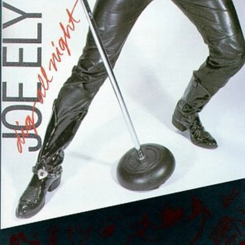 Joe Ely - Dig All Night (CD)