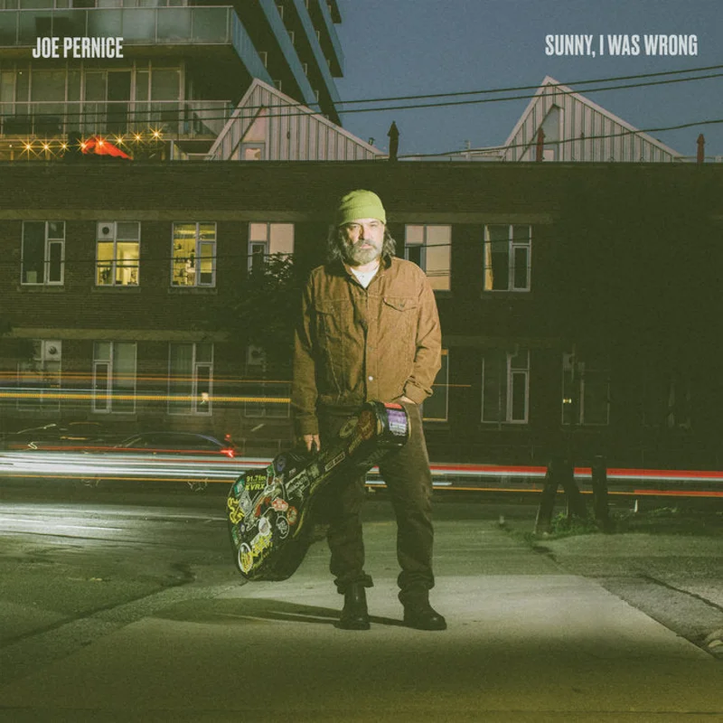 Joe Pernice - Sunny, I Was Wrong LP