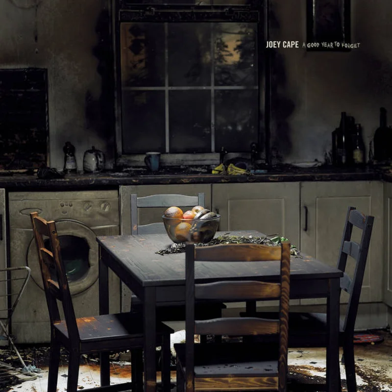 Joey Cape - A Good Year to Forget LP