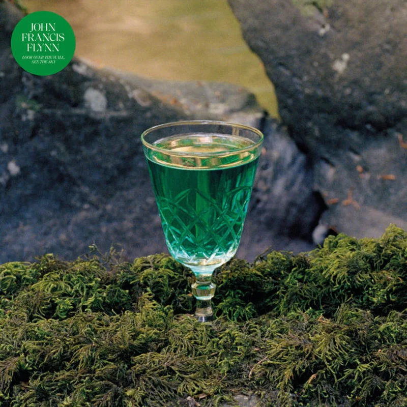 John Francis Flynn - Look Over the Wall, See the Sky LP
