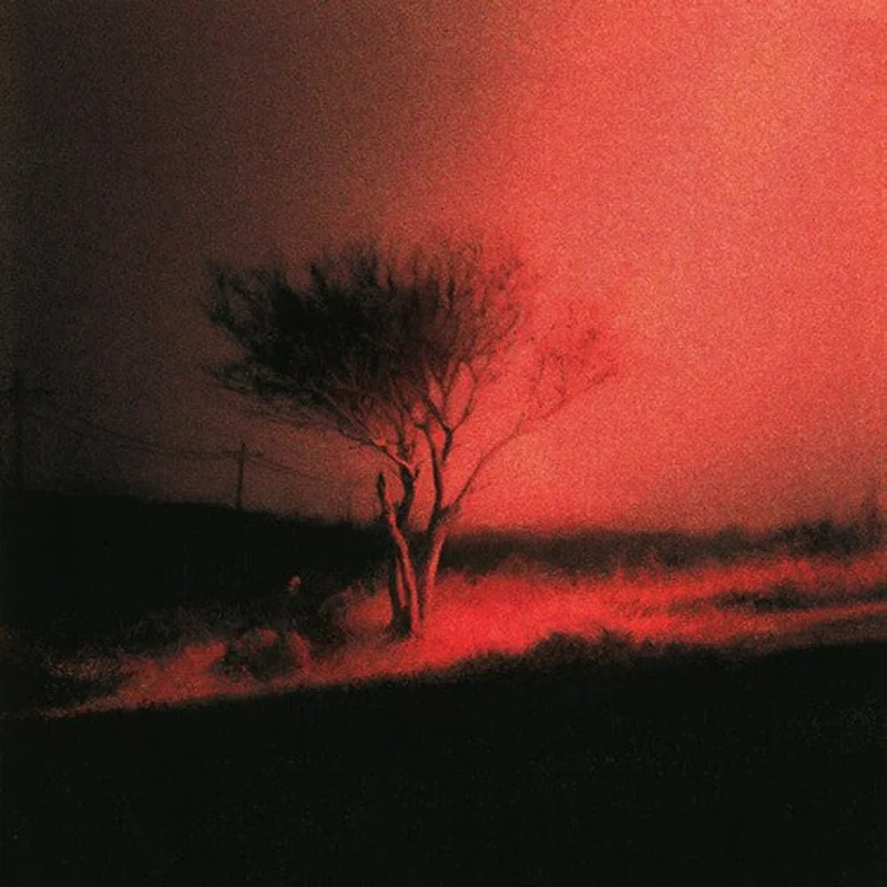 Joji-Piss In The Wind (CD)