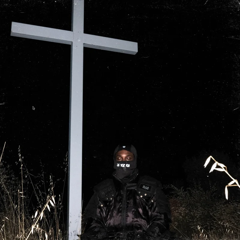 JPEGMAFIA - I Lay Down My Life for You LP