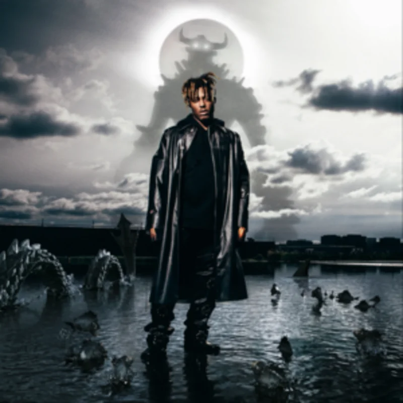 Juice WRLD-Fighting Demons (2XLP)