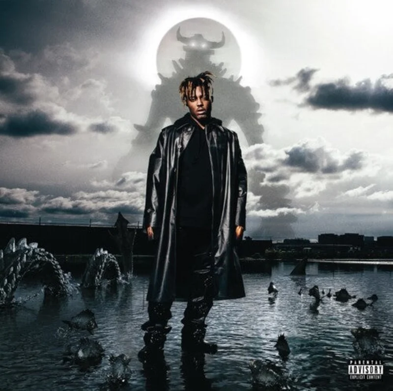 Juice Wrld-Fighting Demons (CD)