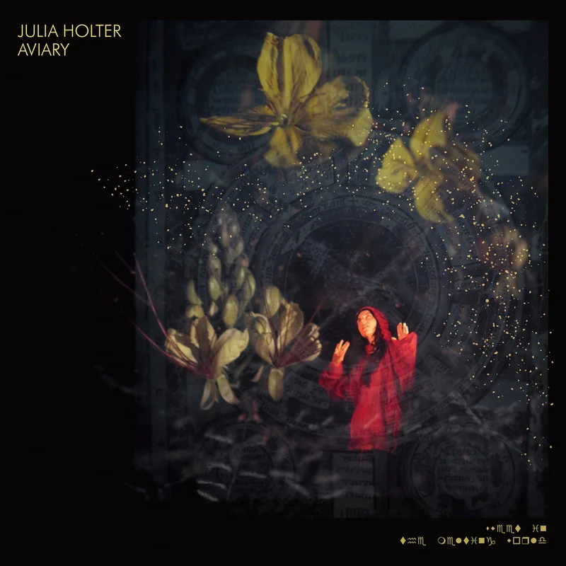 Julia Holter - Aviary 2LP