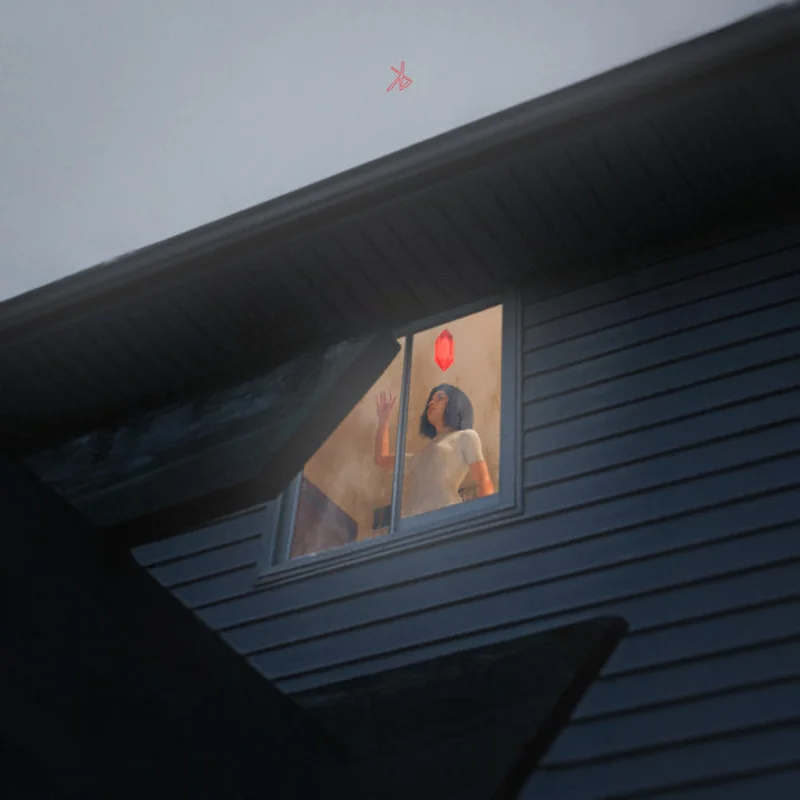Kills Birds - Crave LP