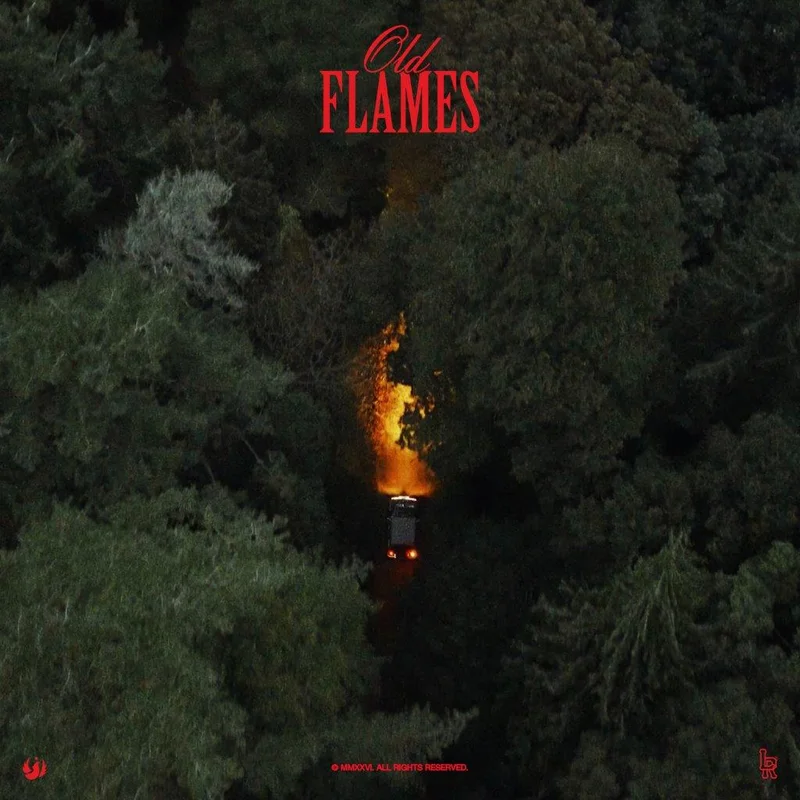 La Roux - Old Flame [CD]