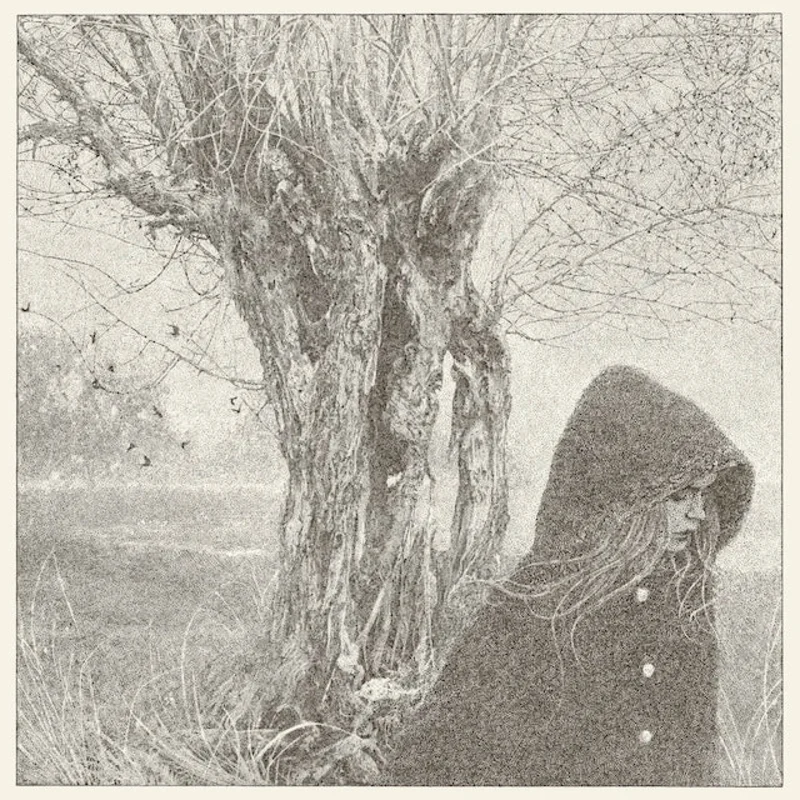 Lankum - Between the Earth and Sky 2LP