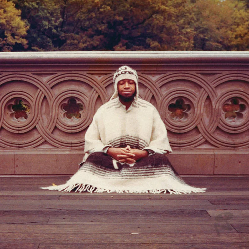 Laraaji - Segue to Infinity 4LP