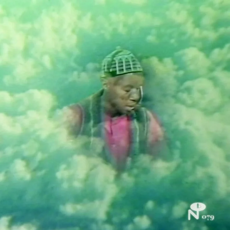 Laraaji - Vision Songs, Vol. 1 LP