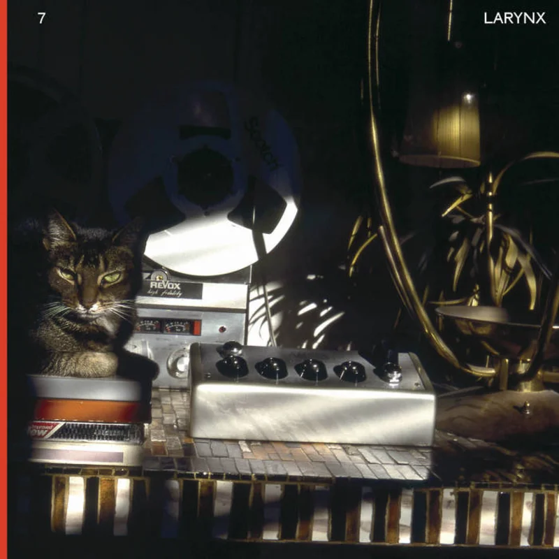 Lary 7 - Larynx 2LP