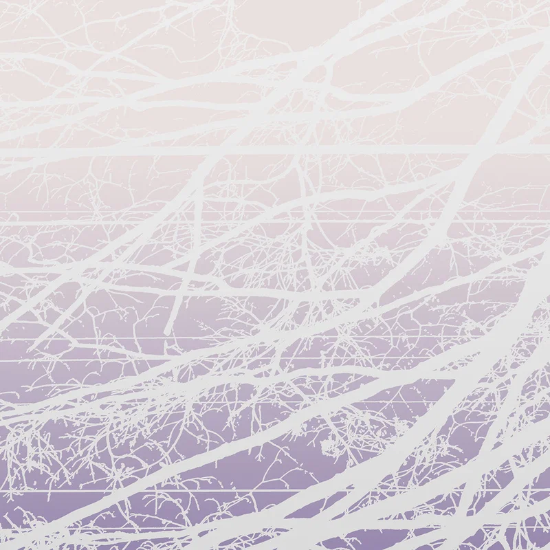 Lea Bertucci - Metal Aether LP