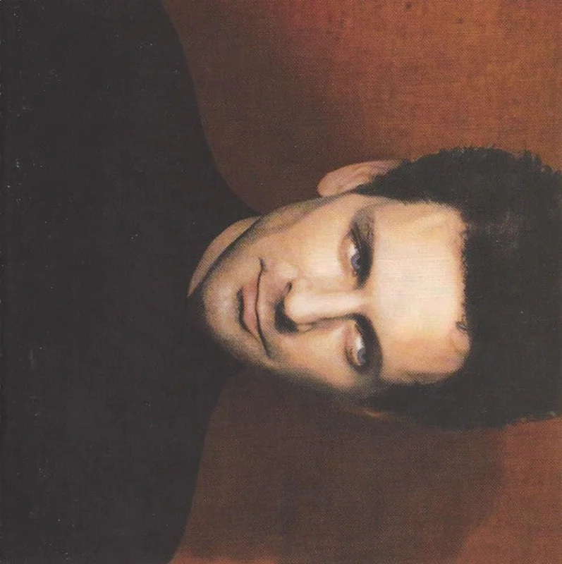 Lindsey Buckingham - Out Of The Cradle (CD)