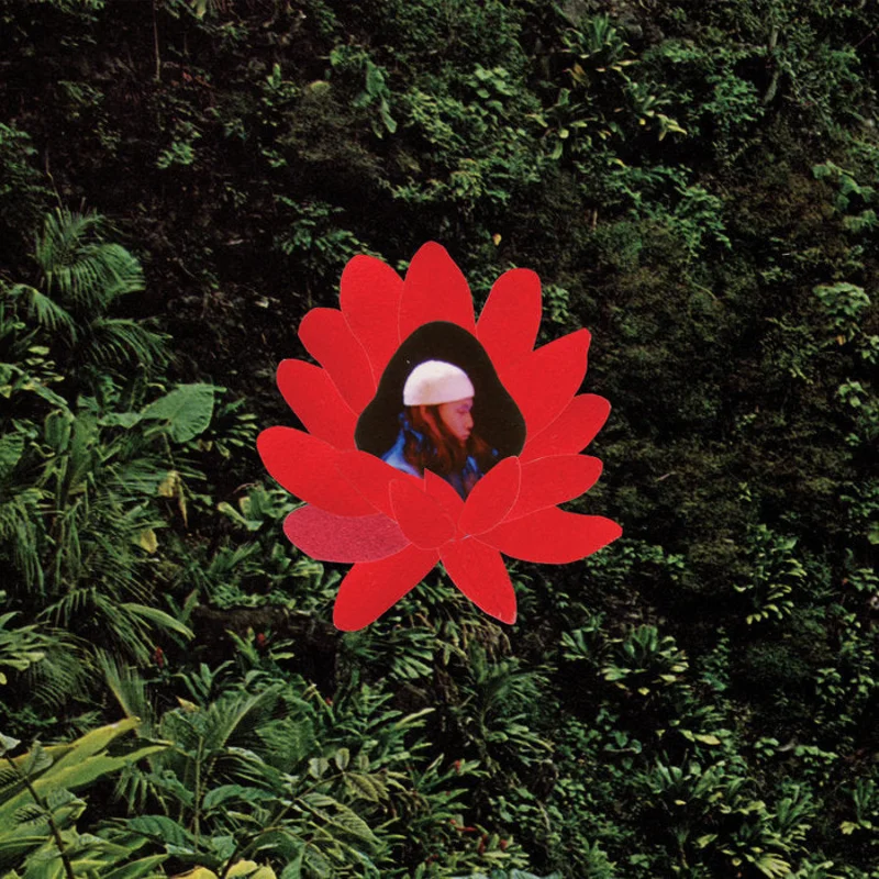 Lionmilk - When the Flowers Bloom LP